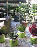 gardens